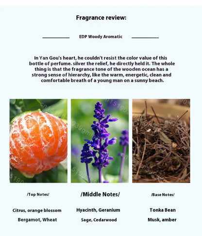 Brand Mens Cologne Perfumes High-End Woody Notes Fresh Perfume Spray Charm Long Lasting Fragrance Pheromone Men Eau De Toilette