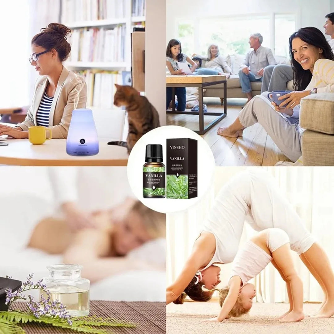 10ML Freshener Essential Oil Automotive Air Aromatherapy Oil Diffuser Humidifier Lavender Rose Eucalyptus Aromatherapy Oil