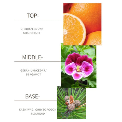 24k Women's Perfume Intoxicated Fresh Lasting Natural And High-Grade Gift Perfume Attract the Opposite Sex Perfume