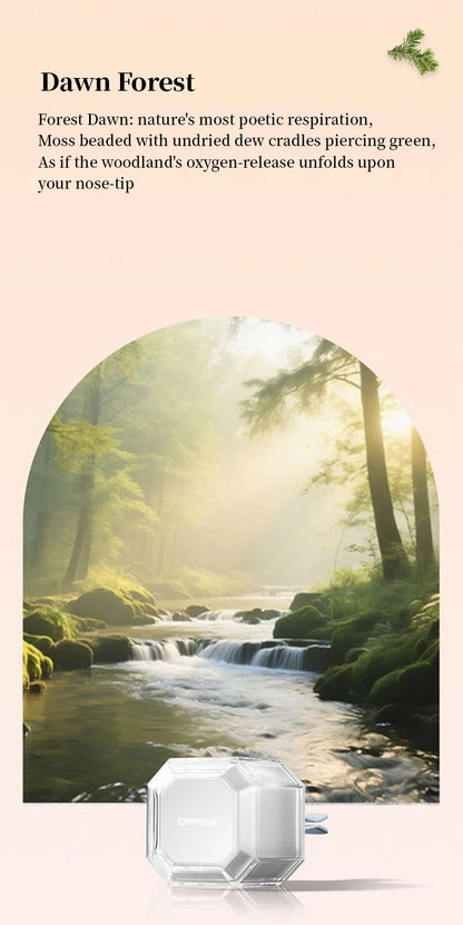 Car Air Fresheners Car Fragrance For Car Interior Air Vents Aromatherapy Auto Flavoring Keep Charming And Fresh Good Gift