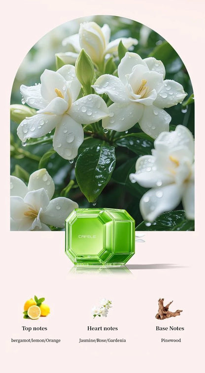 Car Air Fresheners Car Fragrance For Car Interior Air Vents Aromatherapy Auto Flavoring Keep Charming And Fresh Good Gift