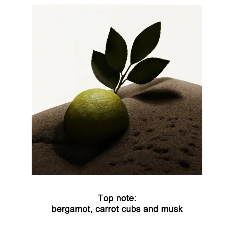 Men's Perfume 100ML Ebony Men Sandalwood Perfume Spray Flirting Pheromone Long Lasting Romance Attract Women Valentine Day Gift