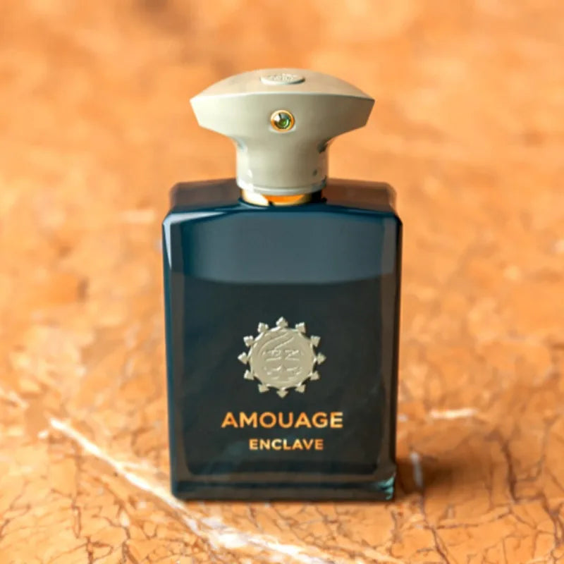 Mens Warm Woody Scented Perfume 100ml Long Lasting Aromatic Fresh Bold Masculine Fragrance with Rich Elegant Unique Notes