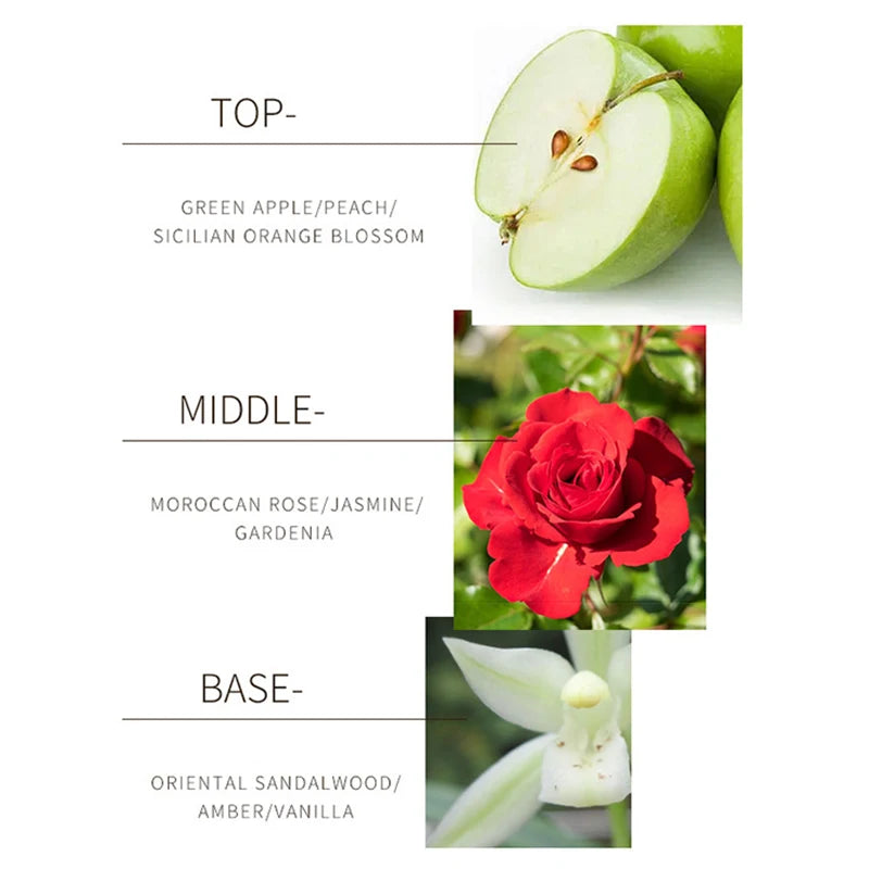 24k Women's Perfume Intoxicated Fresh Lasting Natural And High-Grade Gift Perfume Attract the Opposite Sex Perfume