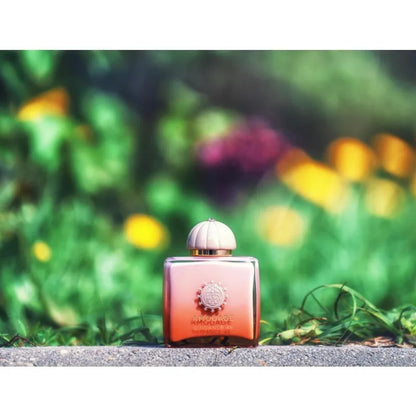 Womens Woody Perfume Collection Long Lasting Elegant Floral Resin Amber Scent Romantic Evening Daily Wear Luxury Fragrance