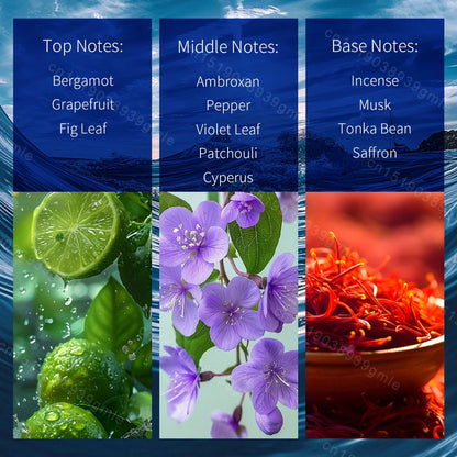 Brand Mens Cologne Perfumes High-End Woody Notes Fresh Perfume Spray Charm Long Lasting Fragrance Pheromone Men Eau De Toilette