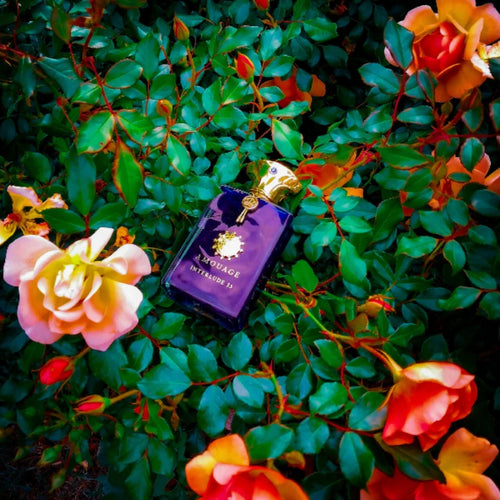 Mens Woody Floral Perfume Long Lasting Spicy Elegant Fragrance Collection for Romantic Evenings Daily Wear Confident Charm