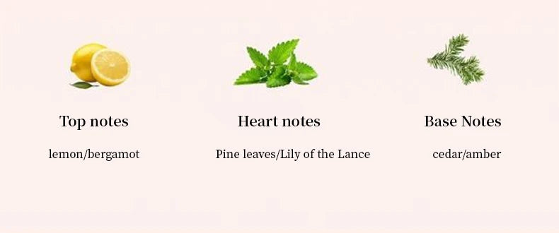 Car Air Fresheners Car Fragrance For Car Interior Air Vents Aromatherapy Auto Flavoring Keep Charming And Fresh Good Gift