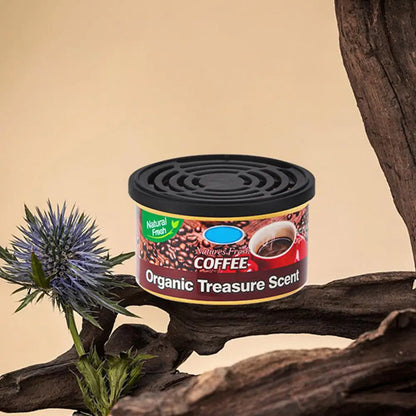 Can Air Freshener And Odor Neutralizer, Long-Lasting, Non-Toxic, Fresh Scent For Home And Car, Assorted Scents Car Fragrance