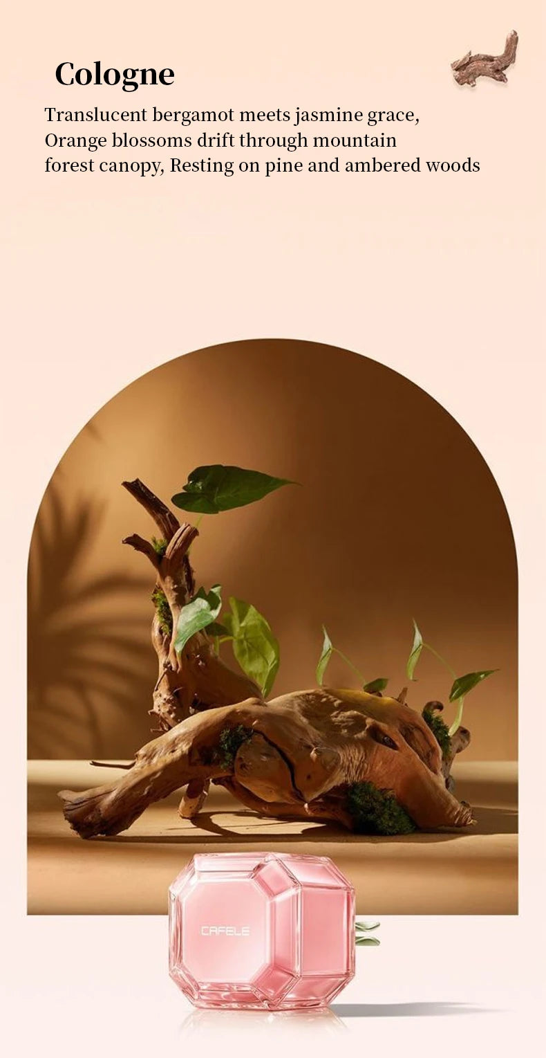 Car Air Fresheners Car Fragrance For Car Interior Air Vents Aromatherapy Auto Flavoring Keep Charming And Fresh Good Gift