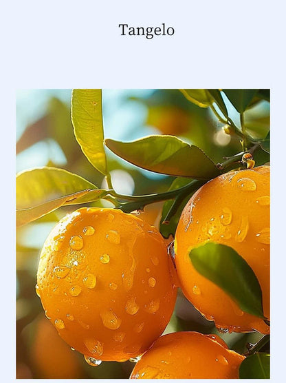 Car Air Freshener Luxury Interior Perfume Long lasting Natural Fragrance Elegant Design Auto Aromatherapy Accessory