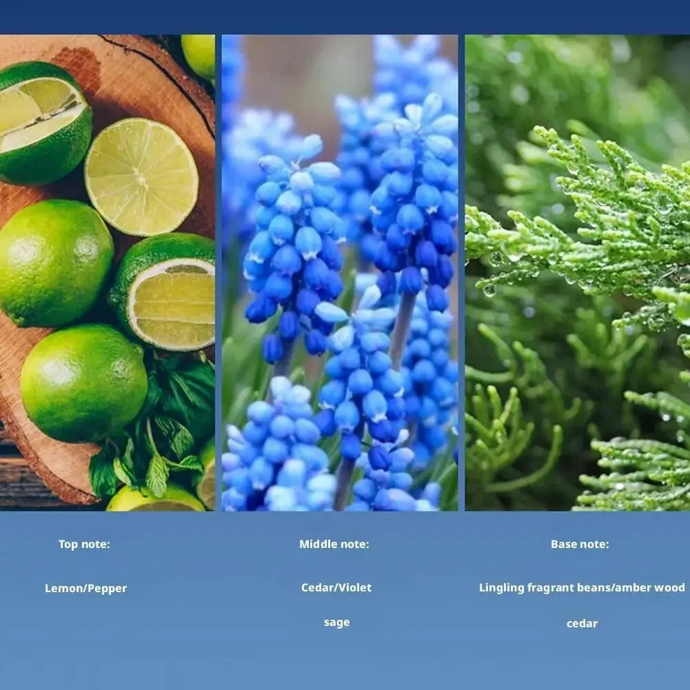 30ml Azure Marine Cologne For Men – Fresh Citrus & Sea Notes,Long-Lasting Charming Romantic Original Cologne Perfumes