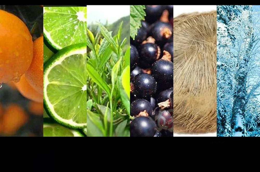 High Quality Brand Perfume Spray 100ml Women Floral Scent  Eau De Parfum Men Cologne Lasting Fragrance Perfumes Mujer Originales