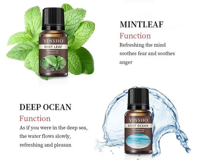 New 13 flavors 10ml essential oil air humidifier household water-soluble DIY multifunctional deodorant spray freshener