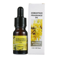 osmanthus