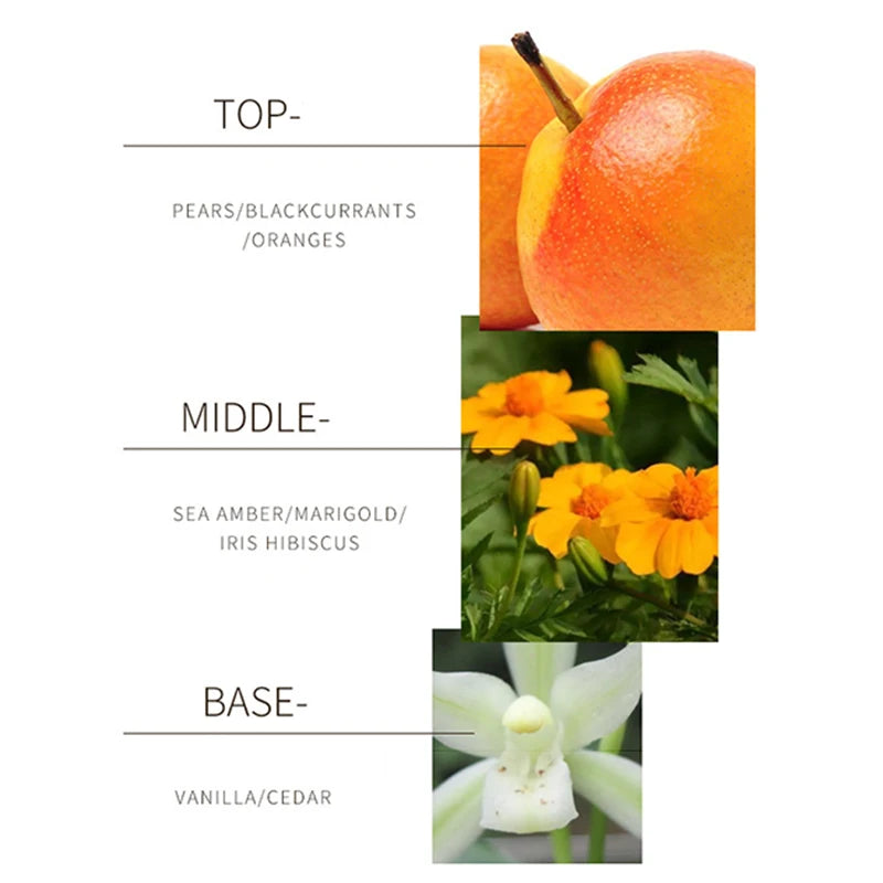 24k Women's Perfume Intoxicated Fresh Lasting Natural And High-Grade Gift Perfume Attract the Opposite Sex Perfume