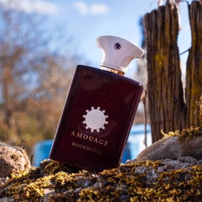 Mens Warm Woody Scented Perfume 100ml Long Lasting Aromatic Fresh Bold Masculine Fragrance with Rich Elegant Unique Notes