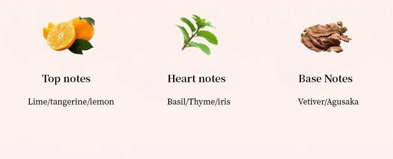 Car Air Fresheners Car Fragrance For Car Interior Air Vents Aromatherapy Auto Flavoring Keep Charming And Fresh Good Gift