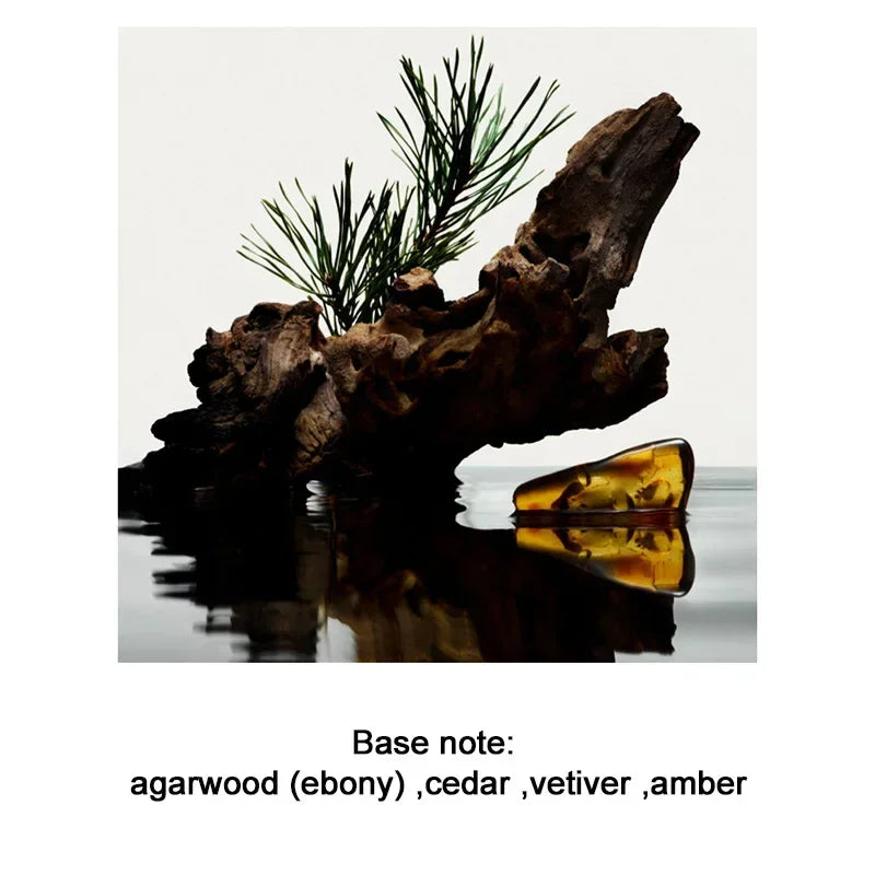 Men's Perfume 100ML Ebony Men Sandalwood Perfume Spray Flirting Pheromone Long Lasting Romance Attract Women Valentine Day Gift