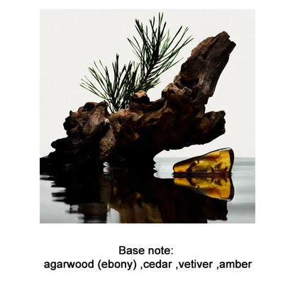 Men's Perfume 100ML Ebony Men Sandalwood Perfume Spray Flirting Pheromone Long Lasting Romance Attract Women Valentine Day Gift