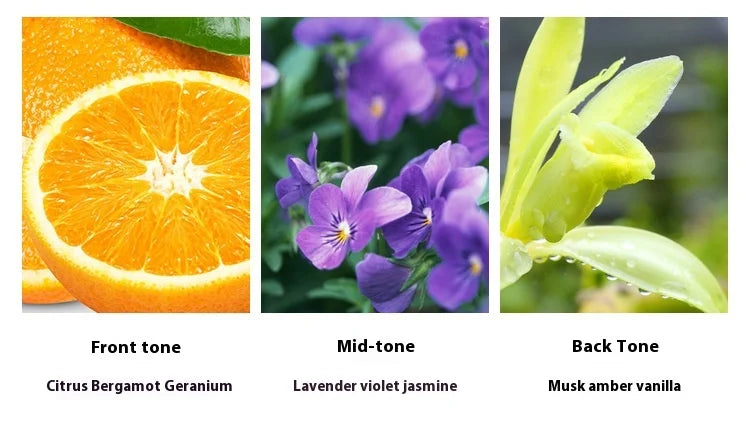 75ML Brand Perfume Cologne Men Spray Fresh Fruity Woody Scent Pheromone Long Lasting Perfume Light Fragrance Gentleman Gift