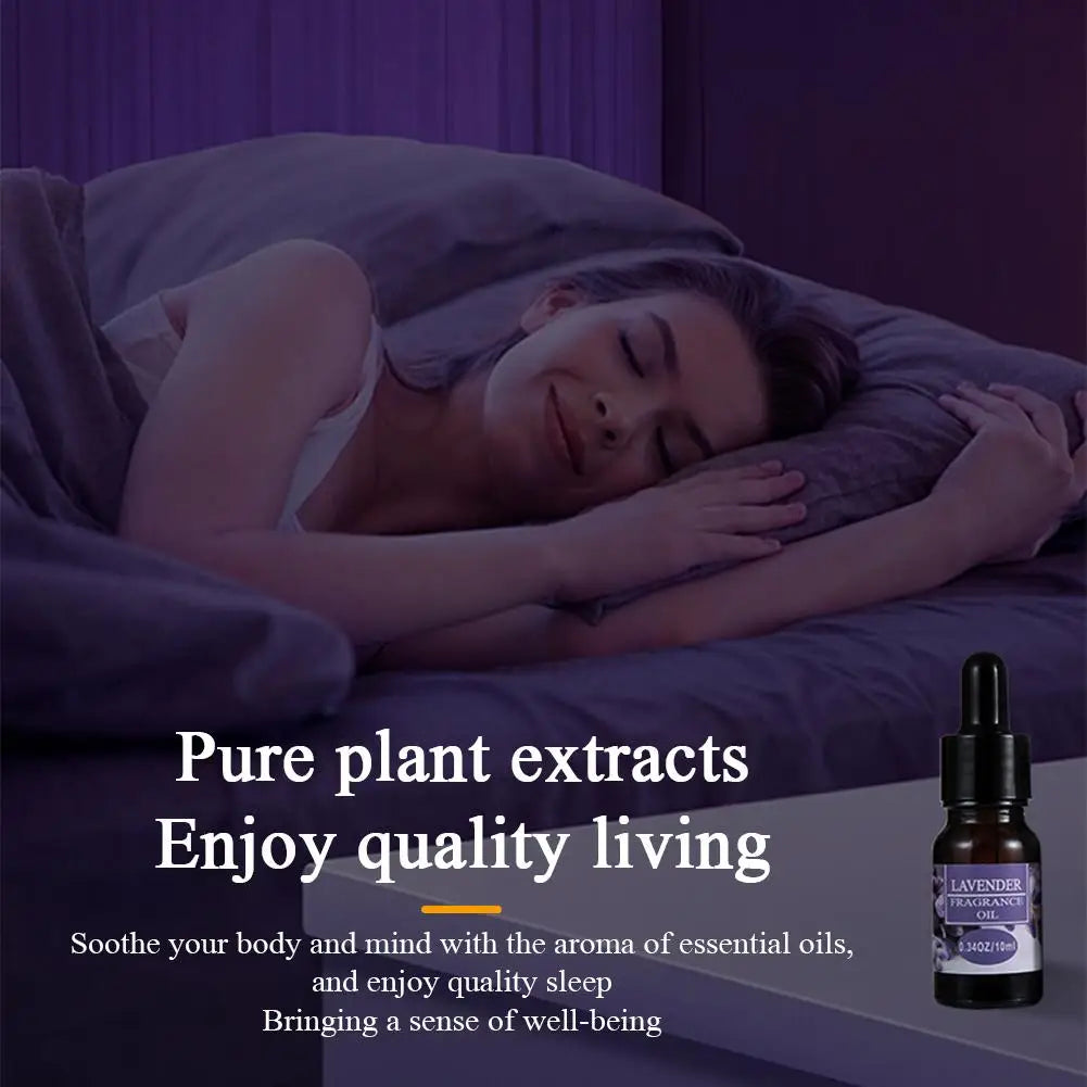 Car Perfume Refill Liquid Flavor Essential Oil with Dropper 10ml Car Air Freshener For Air Humidifier Home Auto Fragrance