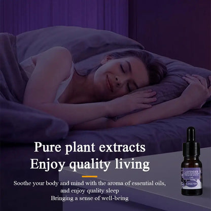 Car Perfume Refill Liquid Flavor Essential Oil with Dropper 10ml Car Air Freshener For Air Humidifier Home Auto Fragrance