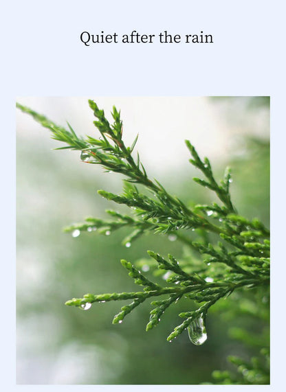 Car Air Freshener Luxury Interior Perfume Long lasting Natural Fragrance Elegant Design Auto Aromatherapy Accessory