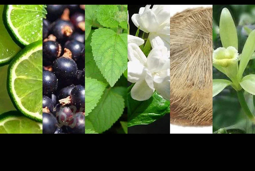 High Quality Brand Perfume Spray 100ml Women Floral Scent  Eau De Parfum Men Cologne Lasting Fragrance Perfumes Mujer Originales