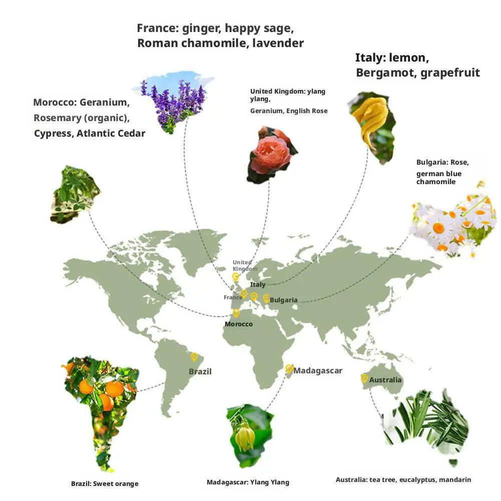 Car Perfume Refill Liquid Flavor Essential Oil with Dropper 10ml Car Air Freshener For Air Humidifier Home Auto Fragrance